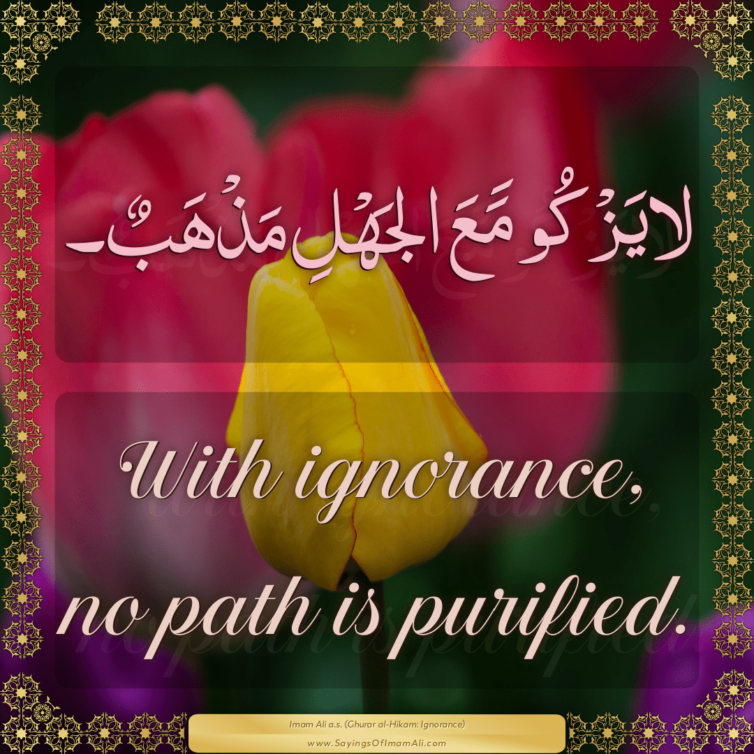 With ignorance, no path is purified.